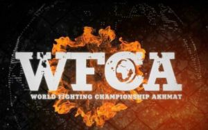 Действующие чемпионы лиги WFCA